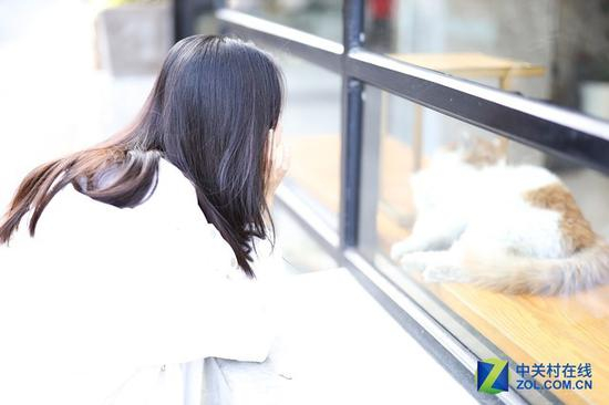 照片一片死白、过曝怎么办？