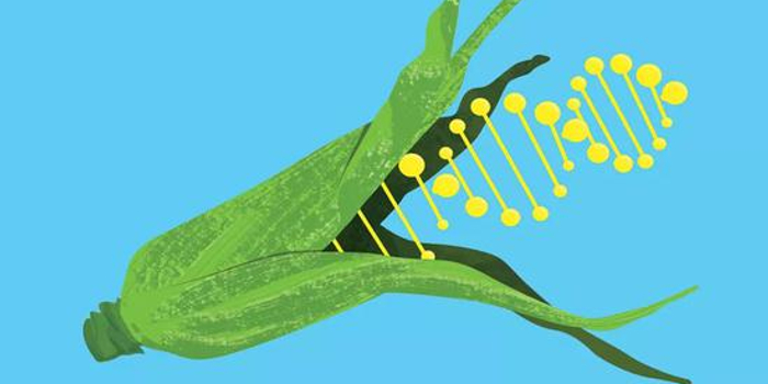 转基因的前世今生