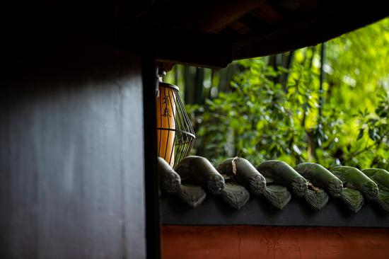 EOS R+RF85mm F/1.2L USM拍摄