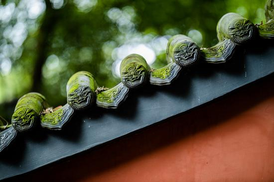 EOS R+RF85mm F/1.2L USM拍摄