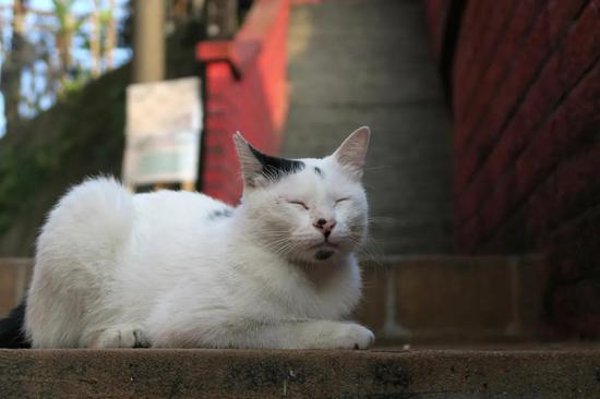 晚上不睡，白天崩溃丨Pixabay