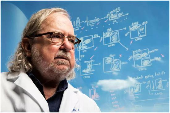 图片来源：Scott Dalton