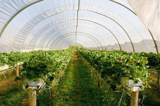 图片来源：hippopx