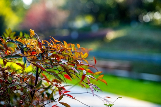 焦距：80mm ISO：720 光圈：F4 快门：1/800s