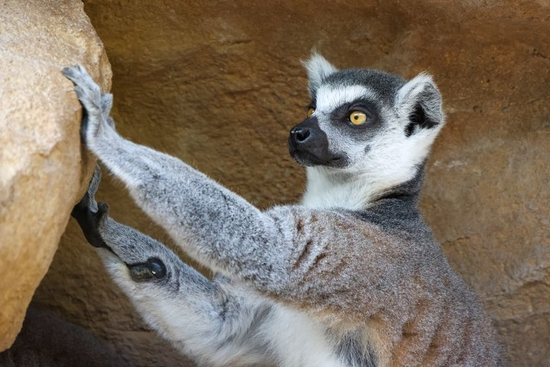 　　焦距：132mm　 光圈：f/6.3　 ISO感光度：1600　 曝光时间：1/200s　 曝光补偿：0EV　 白平衡：自动