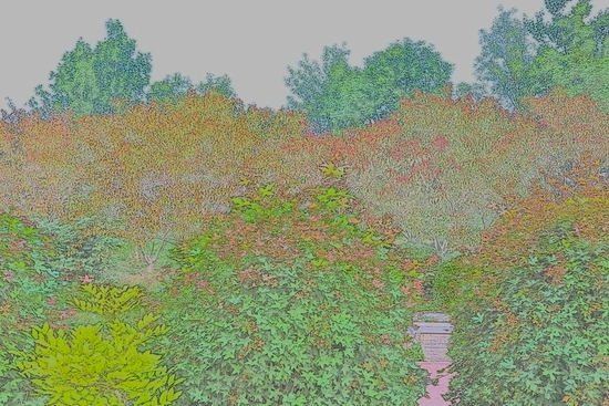 　　焦距：18mm　 光圈：f/4.5　 ISO感光度：100　 曝光时间：1/100s　 曝光补偿：0EV　 白平衡：自动