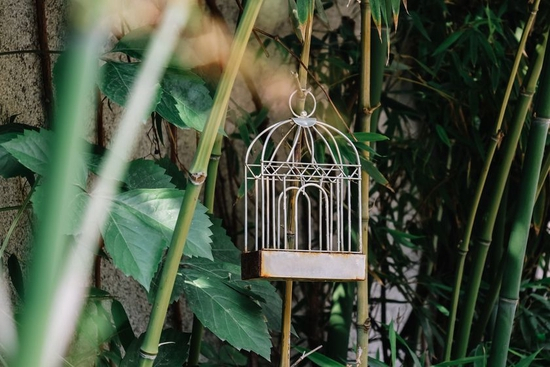 　　焦距：100mm　 光圈：f/6.3　 ISO感光度：400　 曝光时间：1/200s　 曝光补偿：0EV　 白平衡：自动