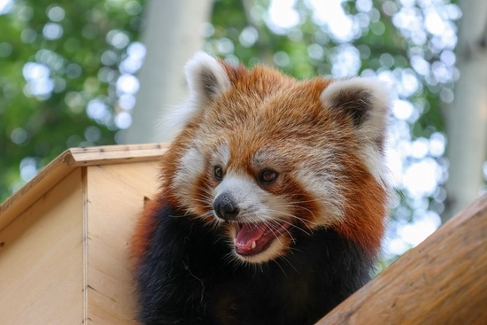 　　焦距：95mm　 光圈：f/6.3　 ISO感光度：320　 曝光时间：1/125s　 曝光补偿：0EV　 白平衡：自动