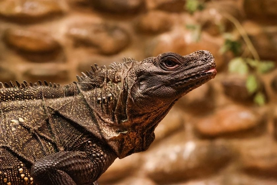 　　焦距：60mm　 光圈：f/6.3　 ISO感光度：6400　 曝光时间：1/100s　 曝光补偿：0EV　 白平衡：自动