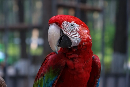 　　焦距：115mm　 光圈：f/6.3　 ISO感光度：500　 曝光时间：1/125s　 曝光补偿：0EV　 白平衡：自动