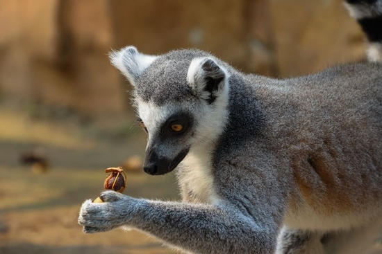 　　焦距：118mm　 光圈：f/6.3　 ISO感光度：400　 曝光时间：1/200s　 曝光补偿：0EV　 白平衡：自动