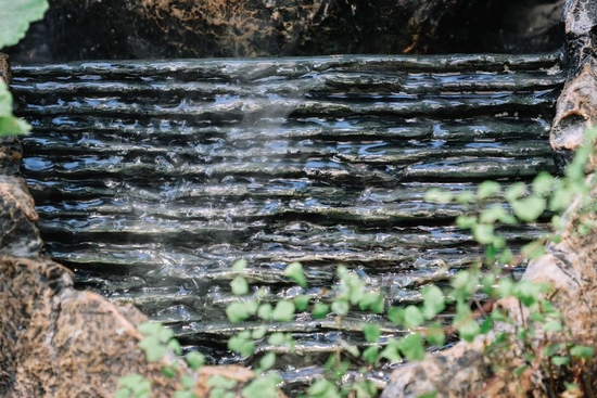 　　焦距：100mm　 光圈：f/6.3　 ISO感光度：800　 曝光时间：1/200s　 曝光补偿：0EV　 白平衡：自动