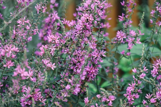 　　焦距：150mm　 光圈：f/6.3　 ISO感光度：400　 曝光时间：1/250s　 曝光补偿：0EV　 白平衡：自动