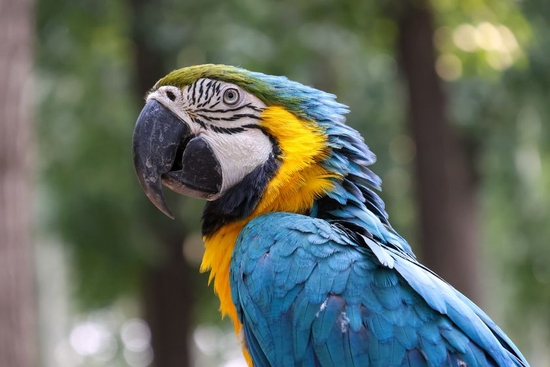 　　焦距：115mm　 光圈：f/6.3　 ISO感光度：1600　 曝光时间：1/250s　 曝光补偿：0EV　 白平衡：自动