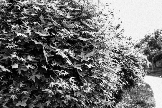 　　焦距：18mm　 光圈：f/4.0　 ISO感光度：100　 曝光时间：1/80s　 曝光补偿：0EV　 白平衡：自动