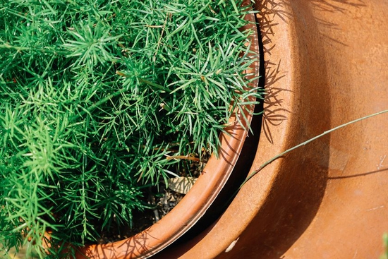 　　焦距：118mm　 光圈：f/6.3　 ISO感光度：125　 曝光时间：1/200s　 曝光补偿：0EV　 白平衡：自动