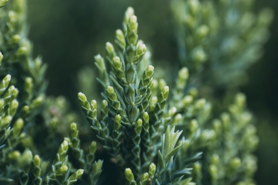 　　焦距：100mm　 光圈：f/5.6　 ISO感光度：1000　 曝光时间：1/60s　 曝光补偿：0EV　 白平衡：自动