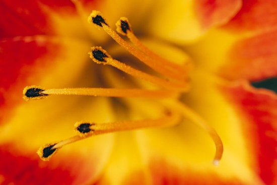 　　焦距：100mm　 光圈：f/8.0　 ISO感光度：400　 曝光时间：1/40s　 曝光补偿：0EV　 白平衡：自动