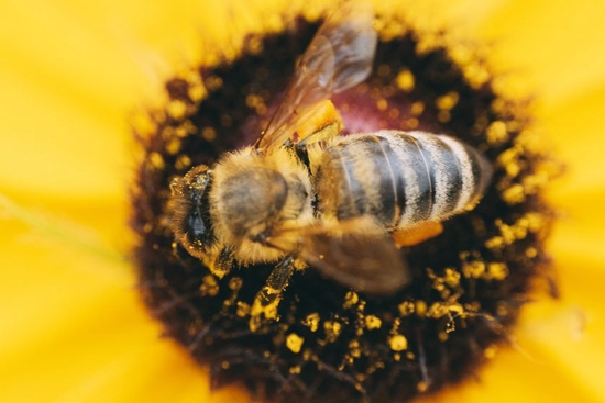 　　焦距：100mm　 光圈：f/5.6　 ISO感光度：4000　 曝光时间：1/400s　 曝光补偿：0EV　 白平衡：自动