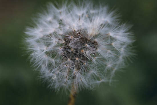 　　焦距：100mm　 光圈：f/8.0　 ISO感光度：640　 曝光时间：1/60s　 曝光补偿：0EV　 白平衡：自动