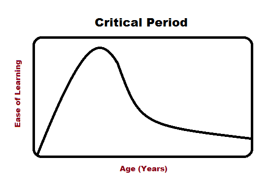 　　语言习得的关键期假说（critical period hypothesis）：在青春期到来之前是学会语言的黄金时期，之后学习的难度增加。图片来源：wikimedia