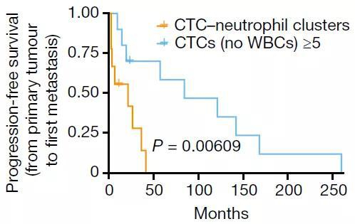 检测到至少5个CTC（蓝）的患者和至少1个CTC-中性粒细胞（黄）的患者的无进展生存率随时间（月）的变化