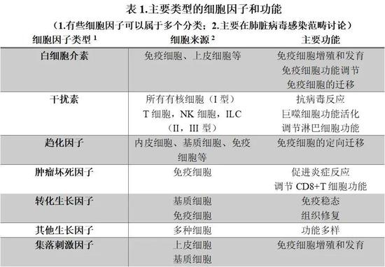 （图表来源：作者提供）