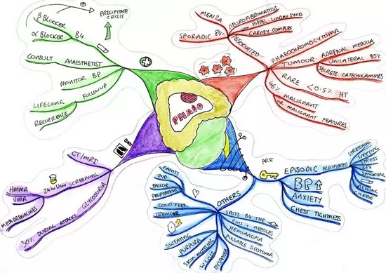 　嗜铬细胞瘤症状与诊断思维树