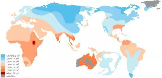 大脑容量地图，截至2014年8月21日&nbsp;图源：https：//commons.wikimedia.org/wiki/File：Brain_Size_Map.png