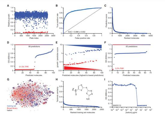最初模型训练时的Halicin发现