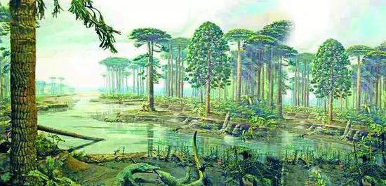图2 远古的森林复原图