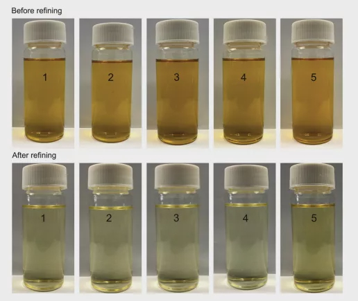 未经精炼（包括脱臭）的菜籽油（上排）和经过精炼（下排）的菜籽油。图片来源doi.org/10.1371/journal.pone.0212879 M