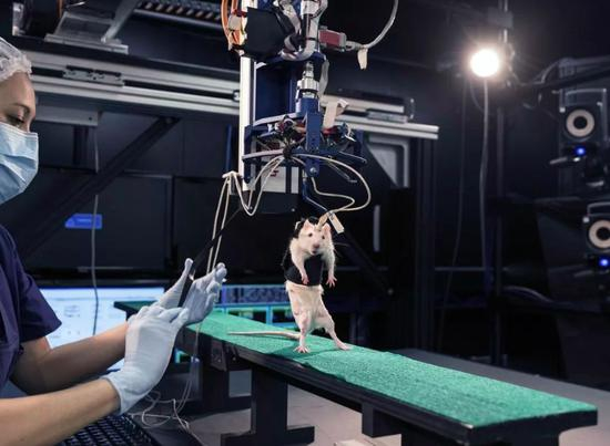 ▲ 《H+》超人类主义展览