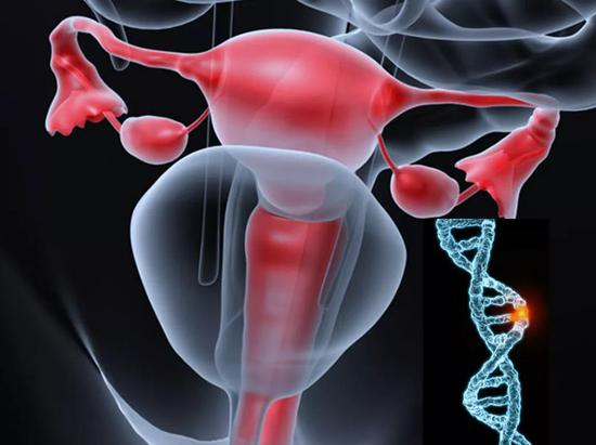带有特定变异的基因能显著降低子宫对疼痛的敏感度 | 作者整理