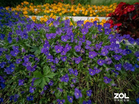 老蛙17mm F4实拍样片