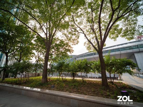 树林环境抗眩光测试