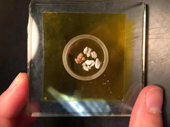 朝鲜境内白头上的浮石，它们是火山喷发带来的。图片来源：&nbsp;KAYLA IACOVINO