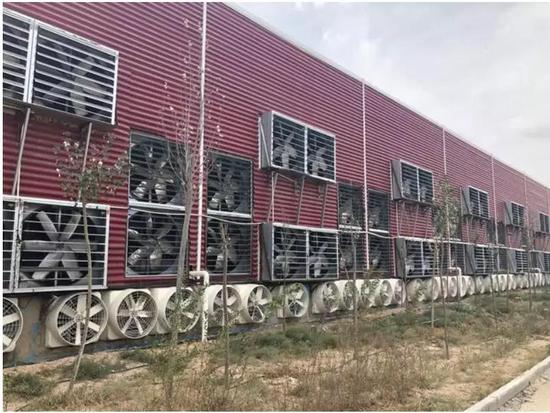 当地厂房，图片来源于受访者