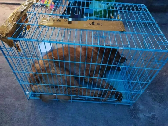 图源：微博