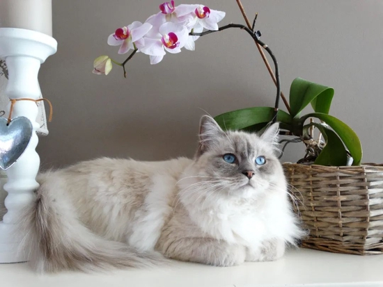 来源 /&nbsp;pexels