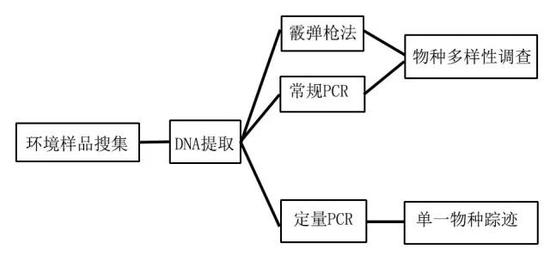 eDNA的工作流程（图片来源：参考文献5）