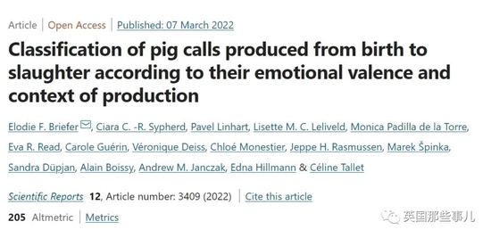 （伊洛迪·布莱佛关于猪叫声的论文）