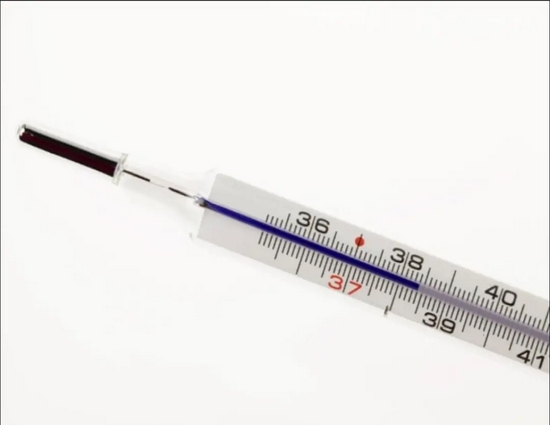 图8 体温计液泡与测量段之间的细管，水银柱在这里很容易被拉断