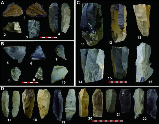 尼阿底石器组合