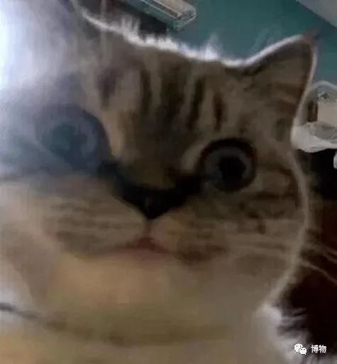 　　就问你害不害怕！