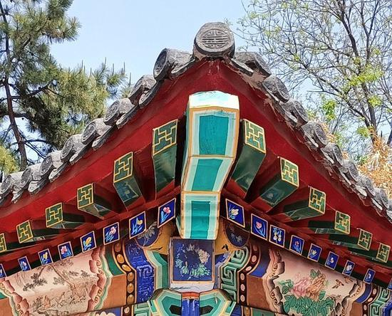 主摄样张裁剪放大