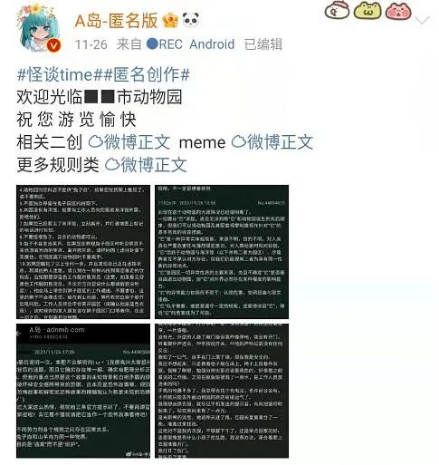 著名的“动物园怪谈”