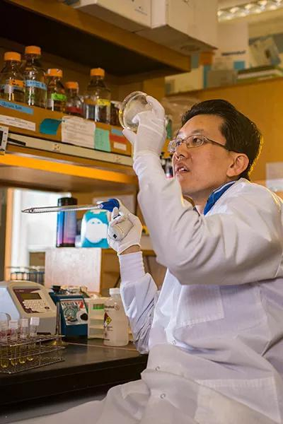 Assistant Professor Wilson Wong （BME）。 Photo by Mike Pecci