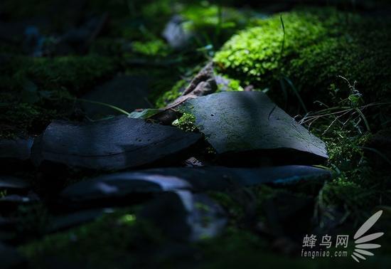完整的摄影学习脉络 应是这样的
