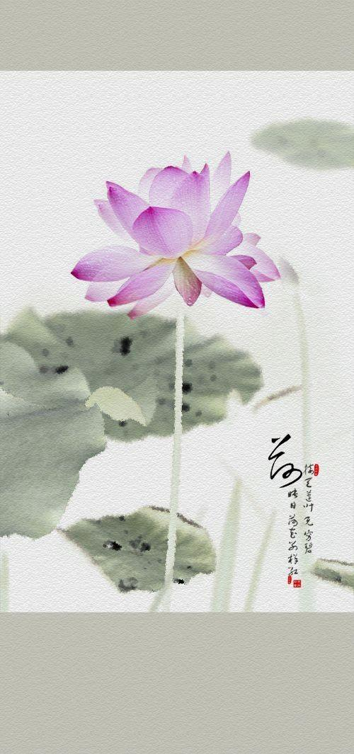 摄影部落欢歌作品